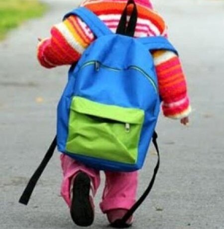 Фото из свободных источников Яндекс