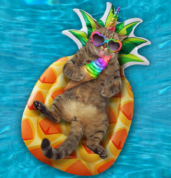 a real sun worshipper is living it up