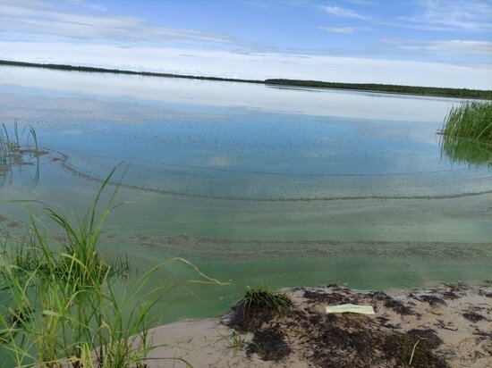 ФОТО: АДМИНИСТРАЦИЯ НОЯБРЬСКА