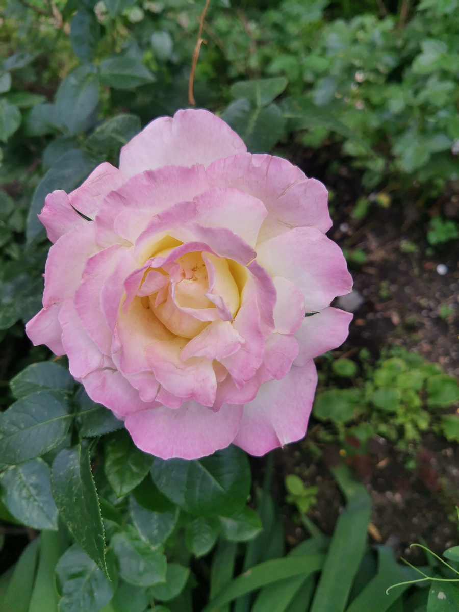 #бережноеотношение 