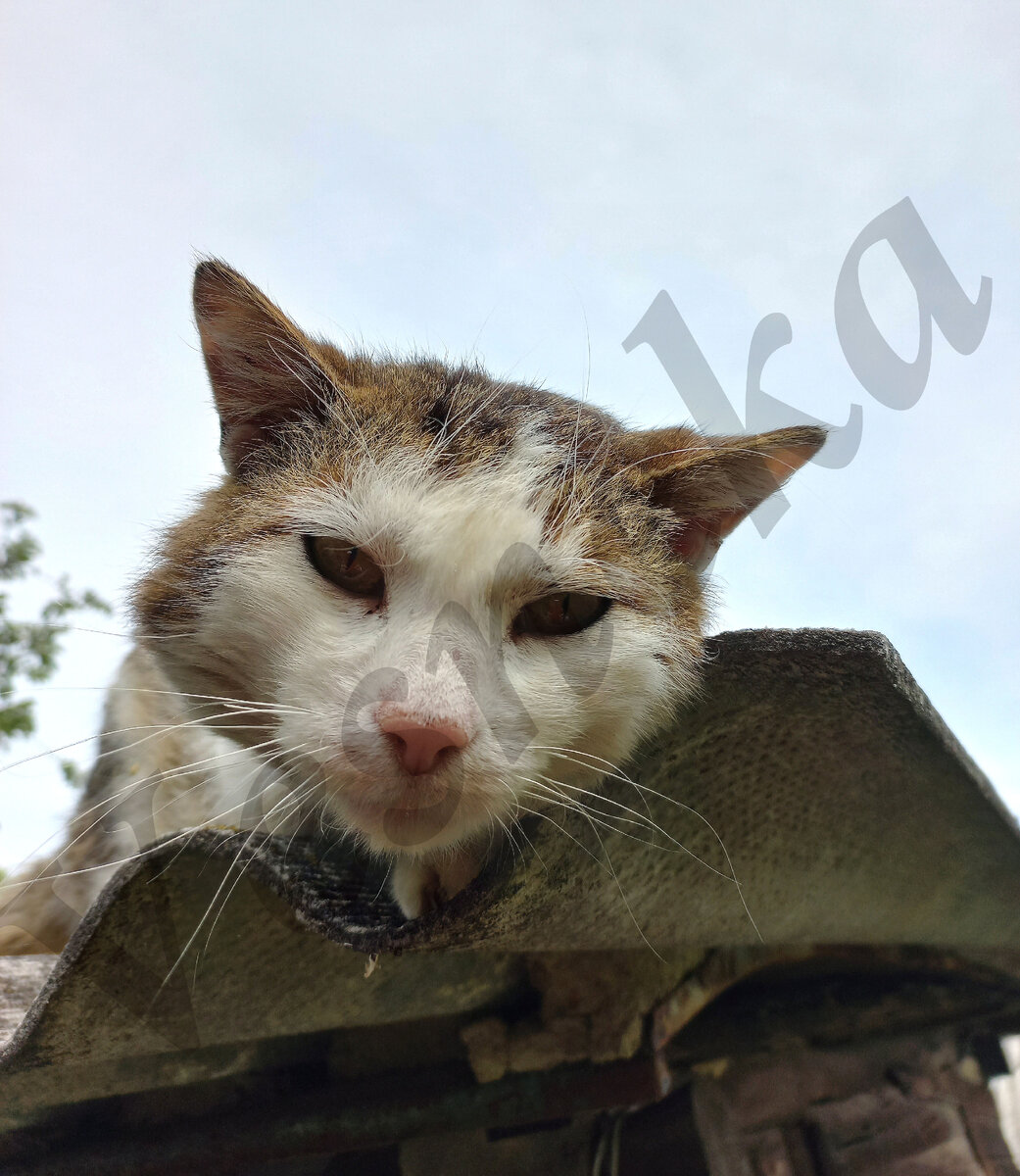 Фото автора. Кабанский