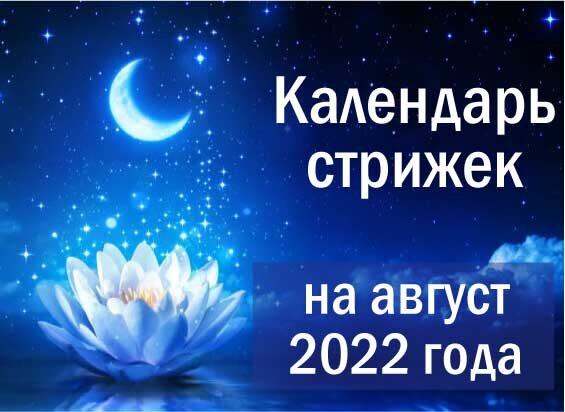 Доброго дня 🌞