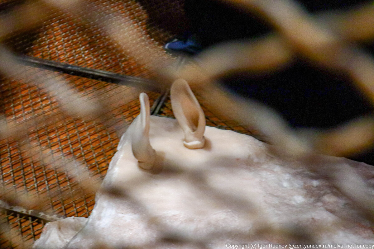 В центре Осло возвышается огромная тринадцатиэтажная махина музея Мунк. Того самого, в котором выставлены знаменитые работы норвежского экспрессиониста Эдварда Мунка серии Крик.-6
