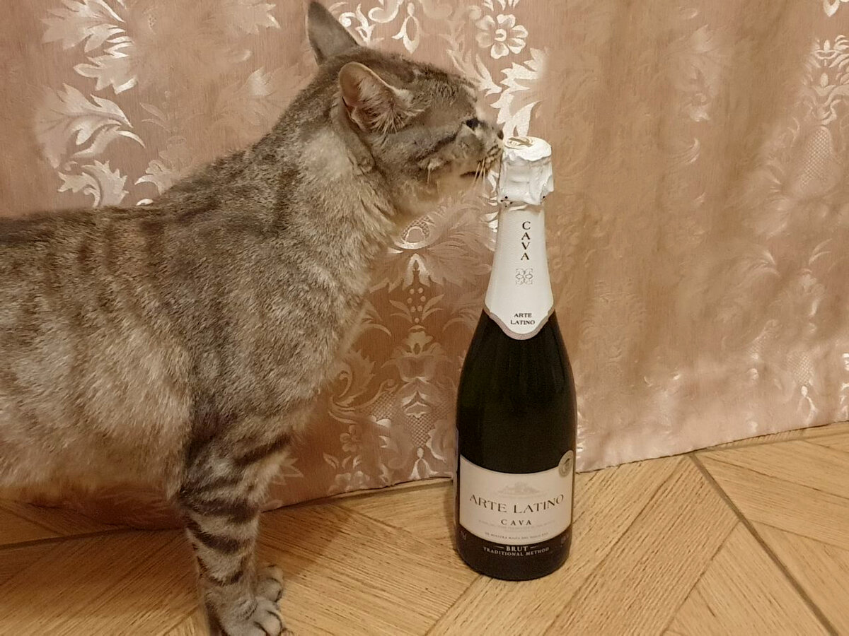 Кава Arte Latino Cava Brut