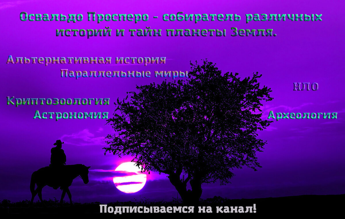 Кто плетёт по ночам косы лошадям? Гоминологи считают, что это делает  снежный человек | Записки Освальдо Просперо | Дзен