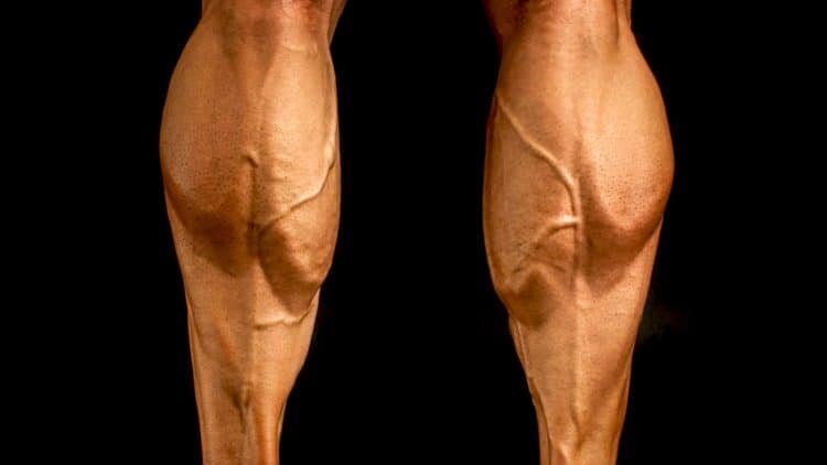 Камбаловидные мышцы