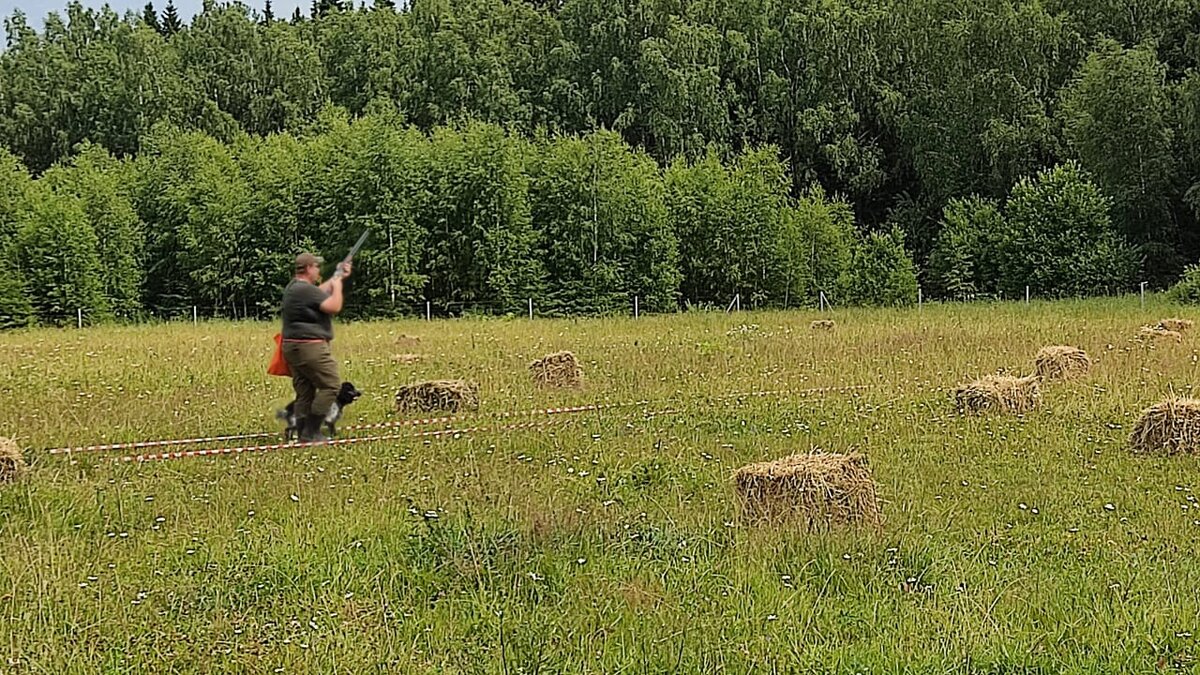 Меткая подача в поле