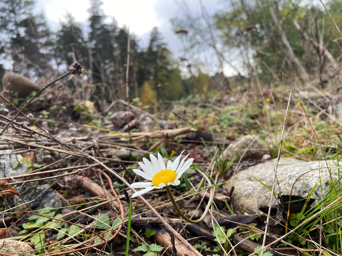 Великолепная природа осеннего Архыза