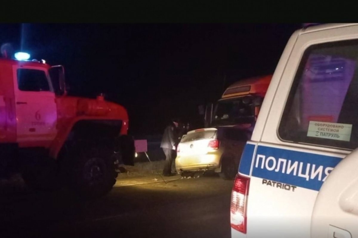    В Кузбассе из-за дикого животного погибли четыре человека в ДТП