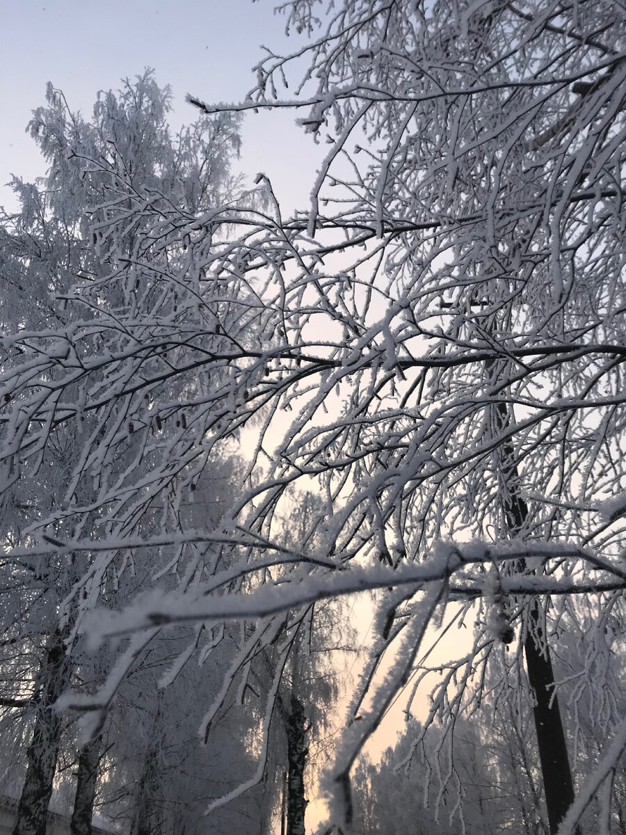 Быстрое фото по дороге на работу 