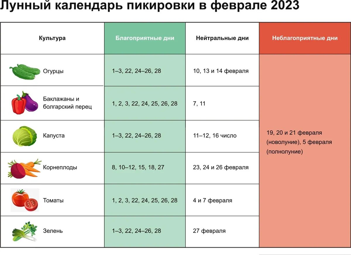 Лунный календарь пикировки овощей в феврале 2023 года