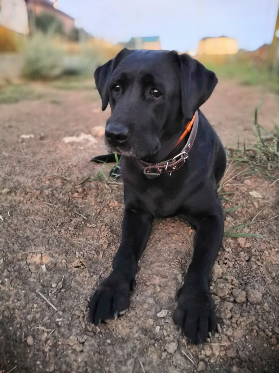 Во всей красе