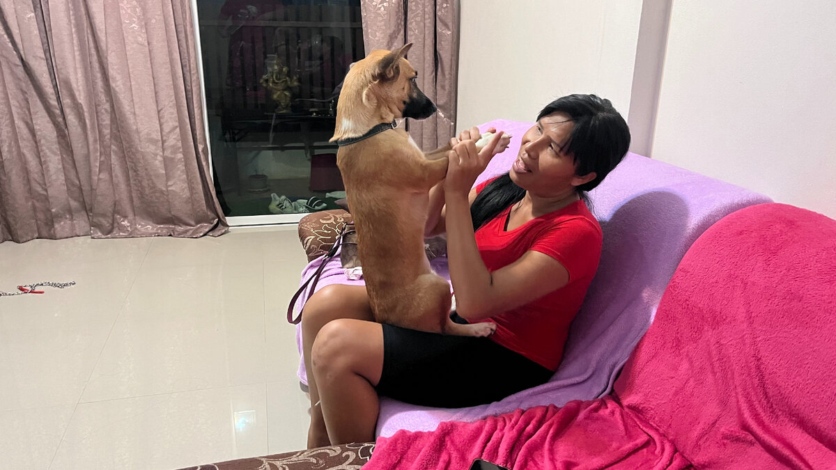 Можно и собаку научить стоять на задних лапах, только зачем?