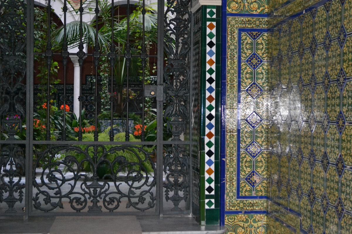 Фото автора.