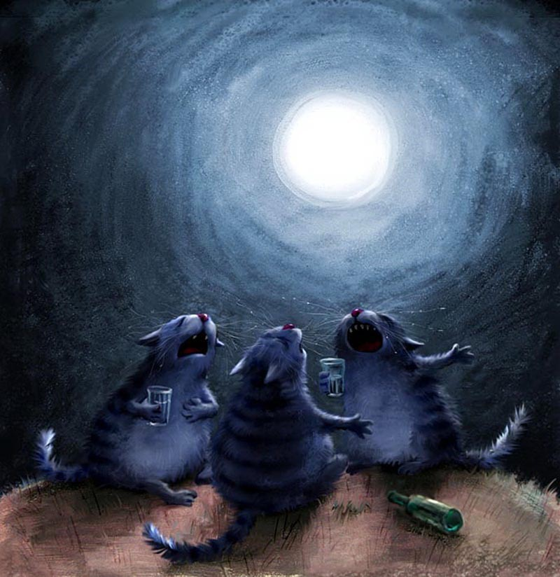 коты Рины Зенюк