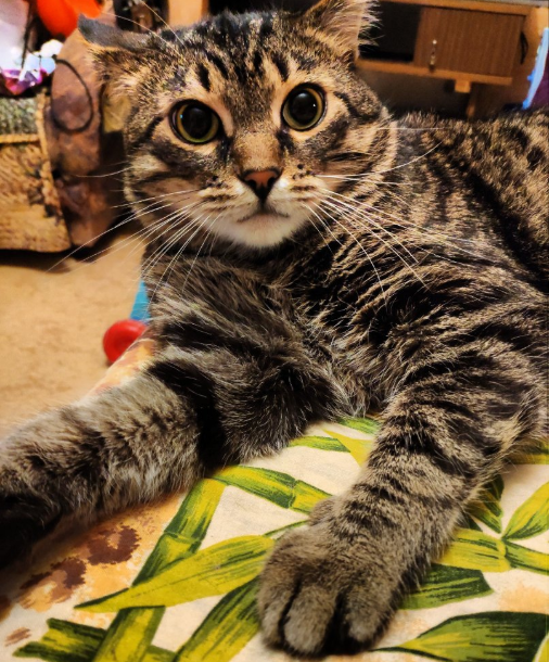 фото и з личного архива