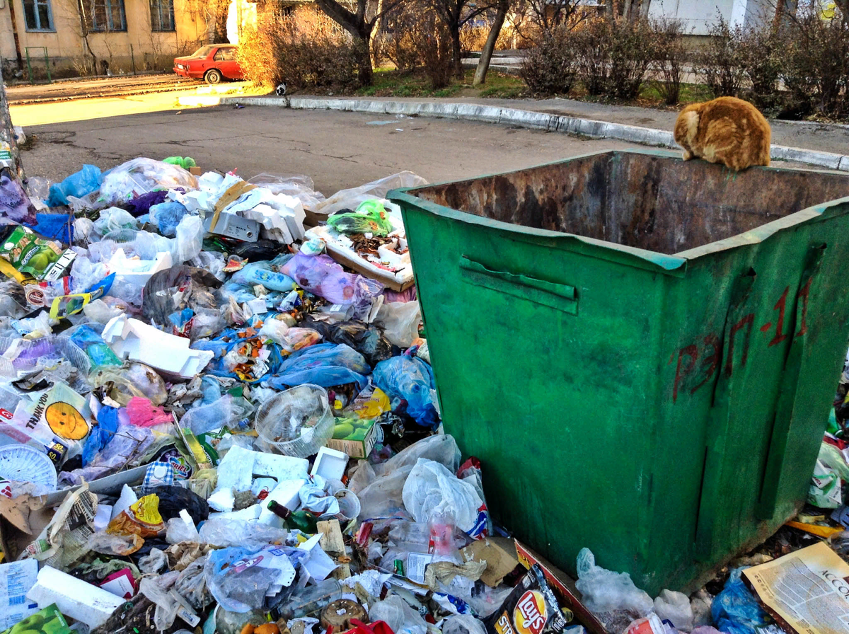 Из поиска Яндекс