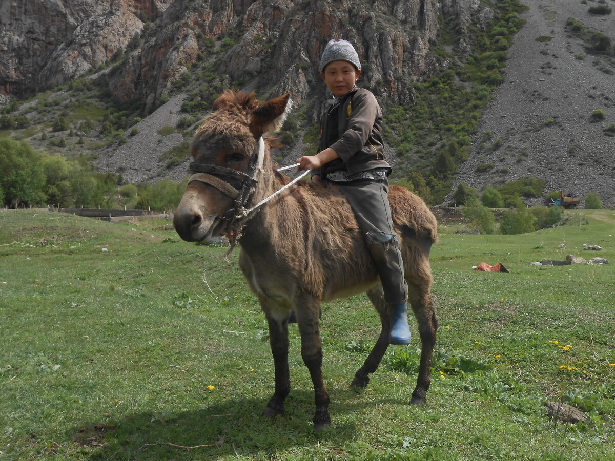 ваши дети слишком много времени проводят за компьютером и засыпают с планшетом в руках?
