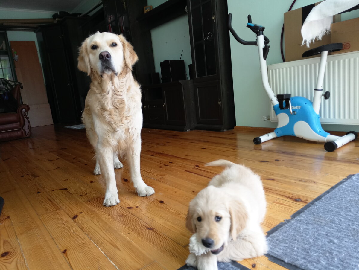 Куба и Ляля