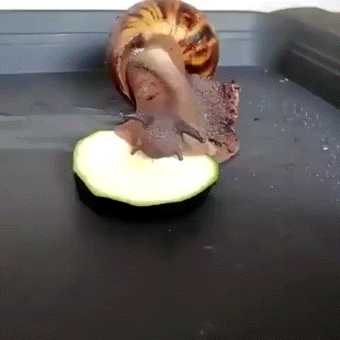 -3