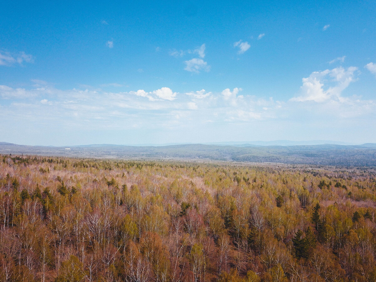 Более века назад здесь располагалась первая на Урале трансконтинентальная радиостанция