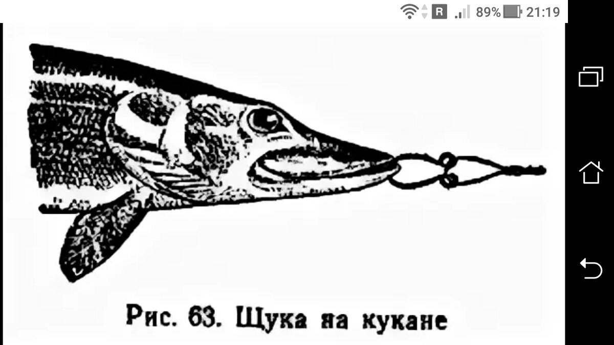 Кукан из лески своими руками сделать на рыбалке + леска 0.7