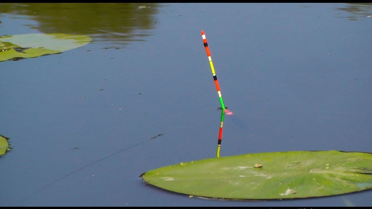 Фото взято из открытых источников в интернете