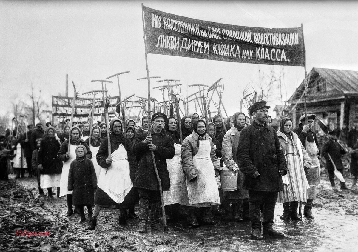 Раскулачивание Сталина: как была потеряна деревня России | Лукинский I  История | Дзен