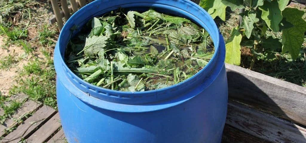 Вкуснейший коктейль для ваших растений.