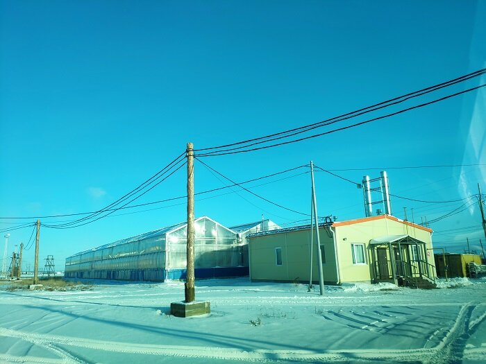 Найти якутск. Сырдах Якутск фото. Теплицы Сырдаха в городе Якутске.