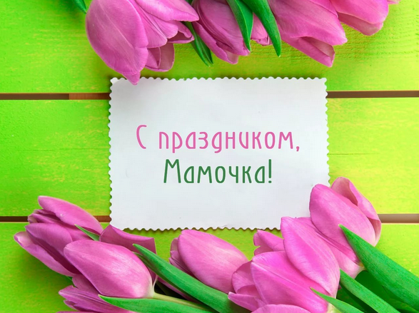 Фото из открытого доступа Яндекс картинки