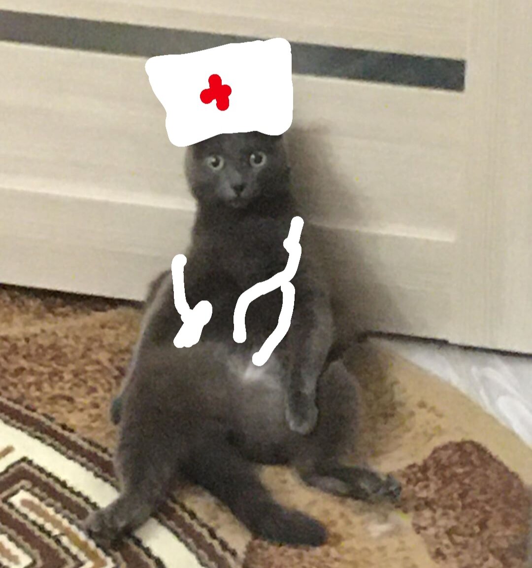 Студент, осознавший разницу теории и практики в медицине. 