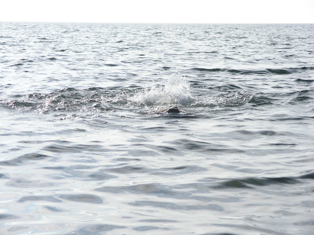 барахтаюсь)