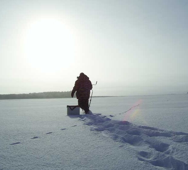 Открытый источник: Яндекс. Картинки 