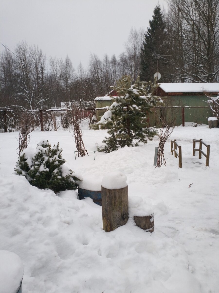 Вот сколько снега в Подмосковье