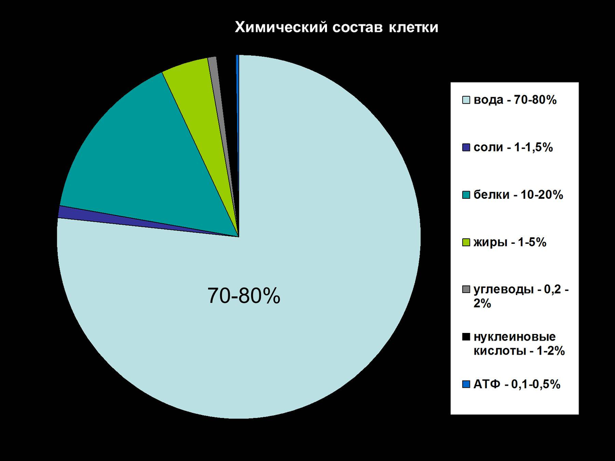 Состав ю. Состав клетки диаграмма. Химический состав клетки. Хим состав клетки. Химические вещества клетки диаграмма.