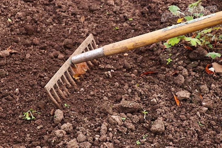 Одним из первых этапов весенних работ является очистка територии