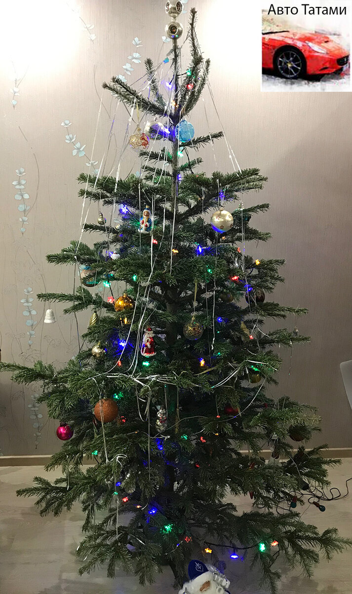 Ветки потихоньку начали опускаться уже.