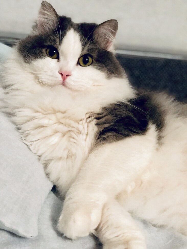 Главный герой статьи