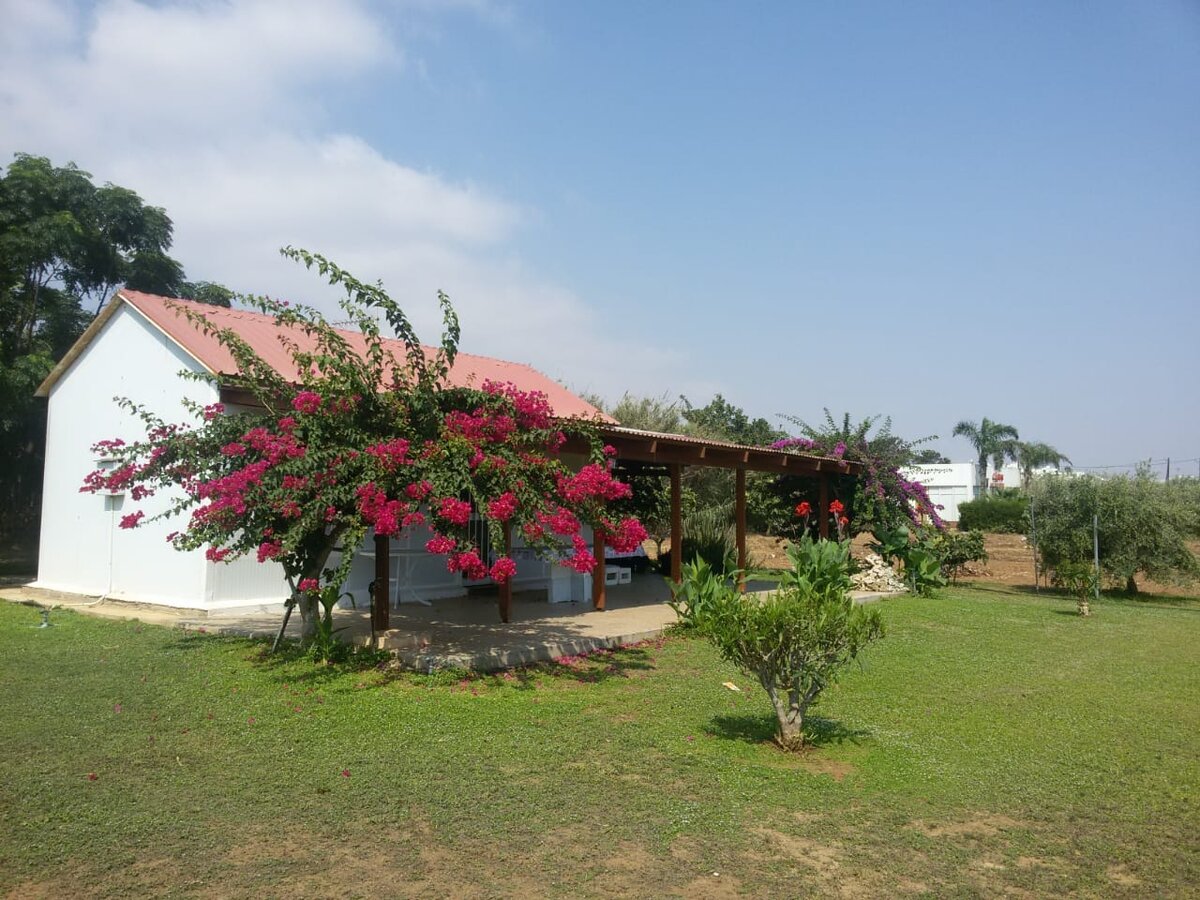 Кипрский домик у моря, сдается туристам. Фото автора