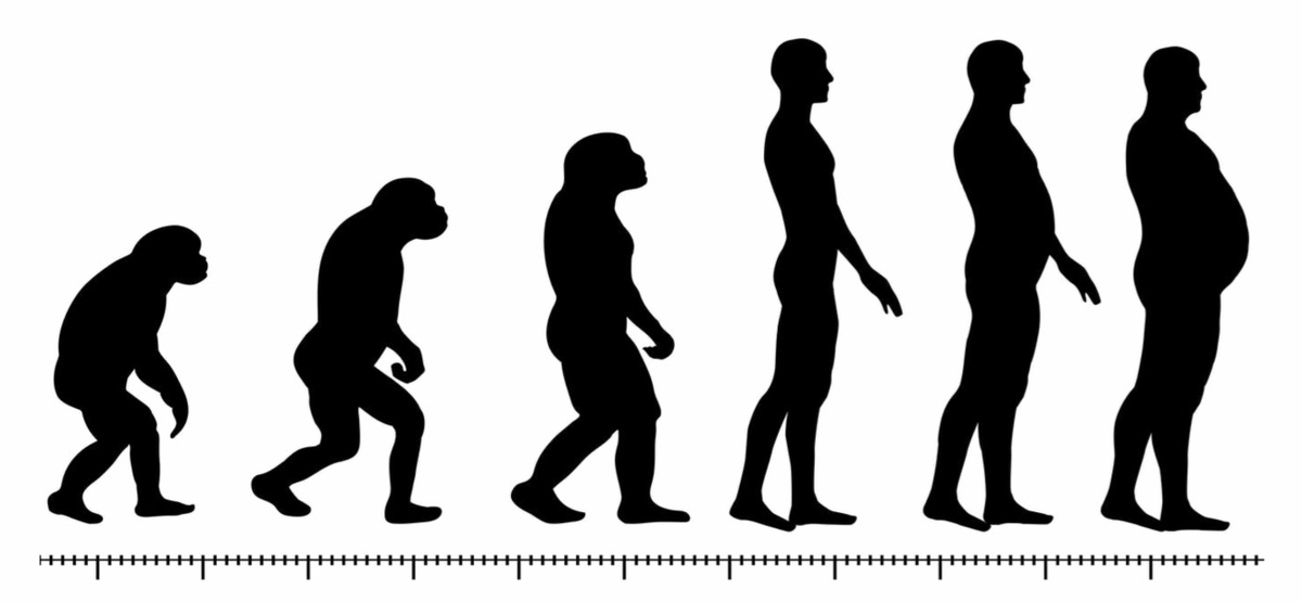 Каждый первый человек. Эволюция мужчин. Эволюция ман. Эволюция тела вектор. Evolution of man.