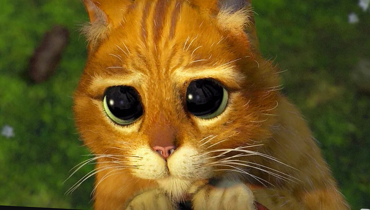 иллюстрация взята из Яндекс Картинки