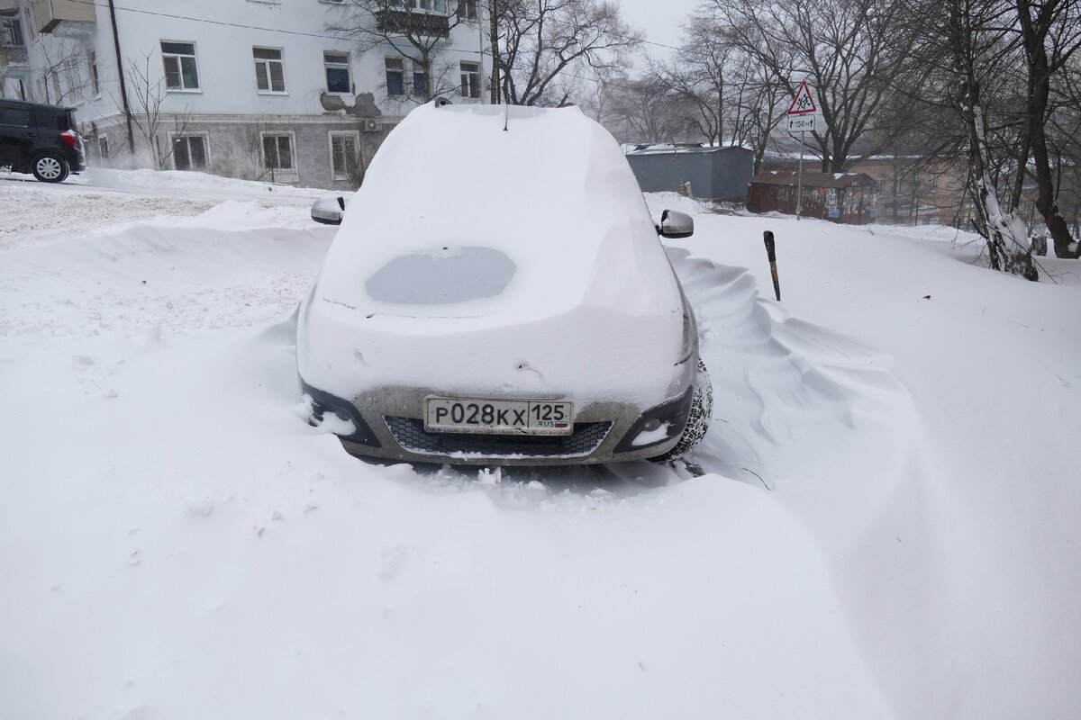 Начинаем утреннюю гимнастику :))  Нужно чуток раскопать пару сугробов :)