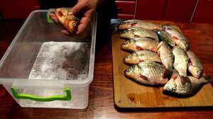 Проверенные способы как вялить и сушить рыбу