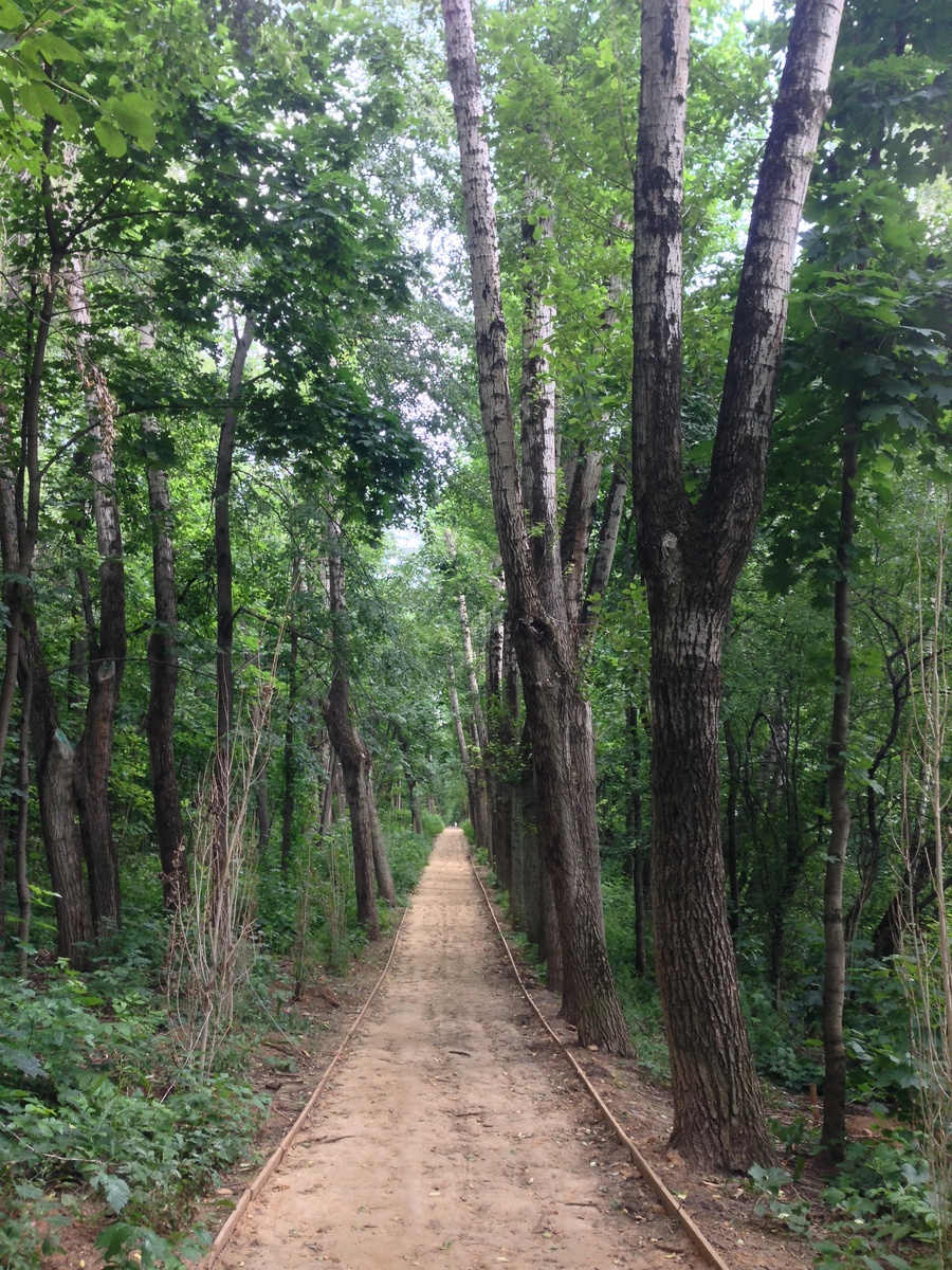 (@Юлия Шувалова)