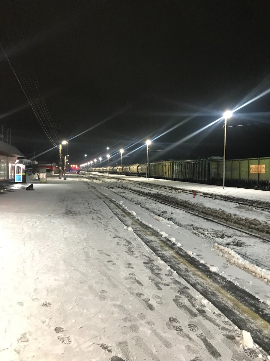 Станция Демьянка