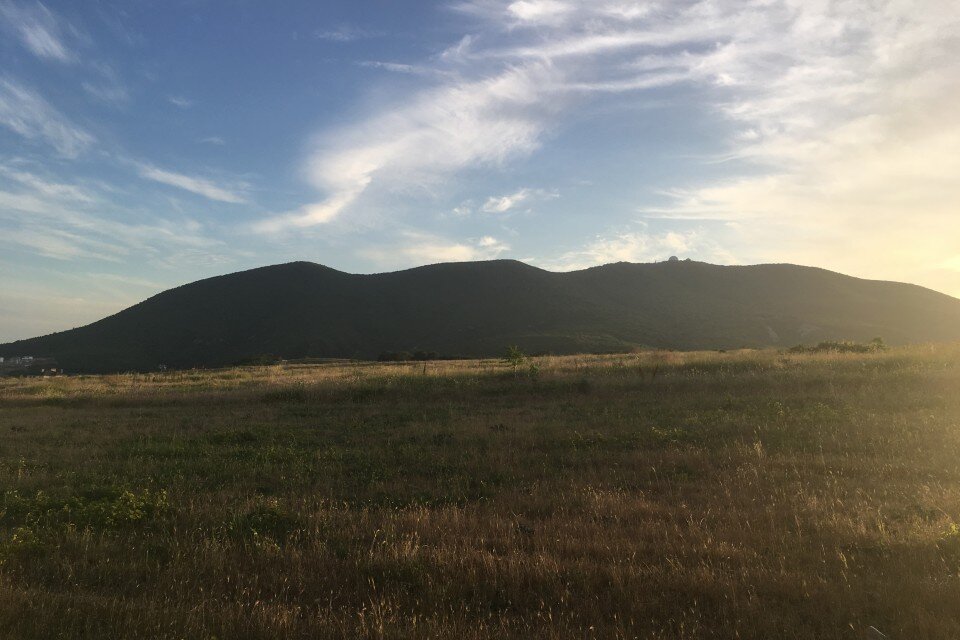 Колдун Фото с сайта https://fenolog.rgo.ru/node/4206