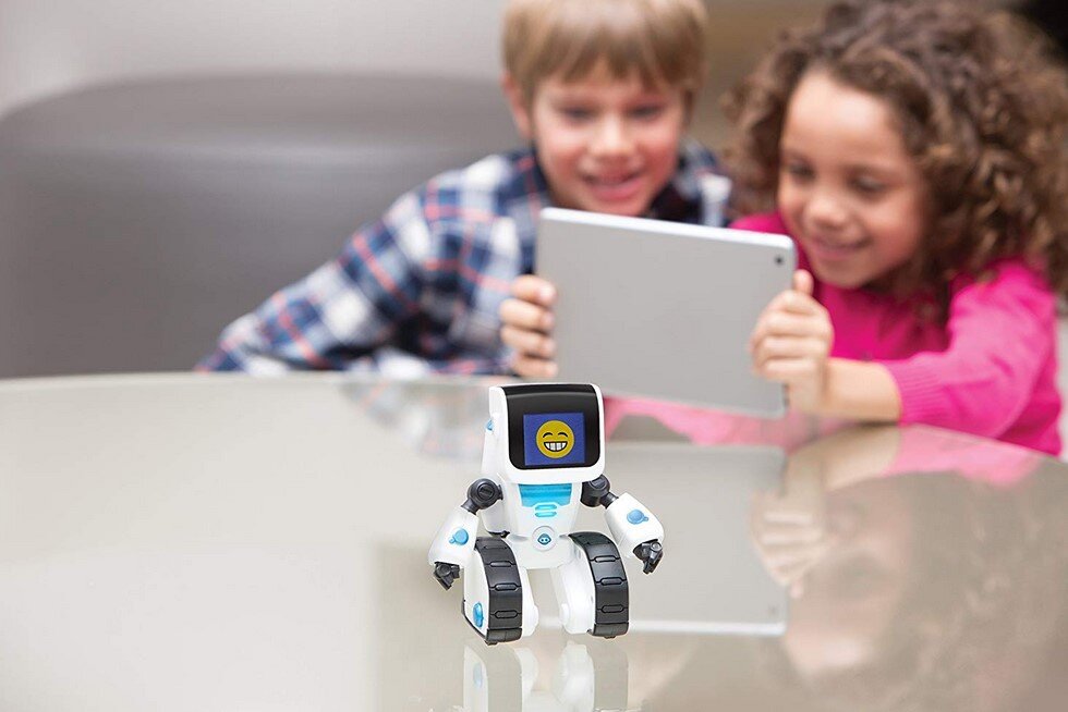 Пригодятся ли в будущем нашим детям элементарные жизненные навыки или за них все будут делать роботы?