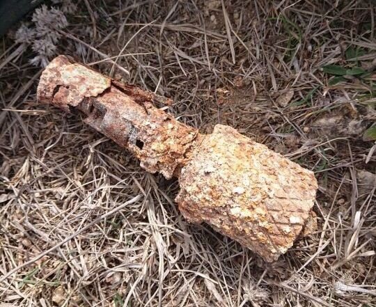 Автор фото: ГТРК Вести Севастополь