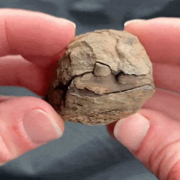 Источник: © grettaaa / reddit  